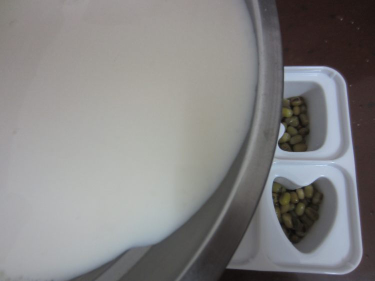 绿豆牛奶冰棍步骤9