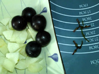鲜果仙草冰粉步骤4