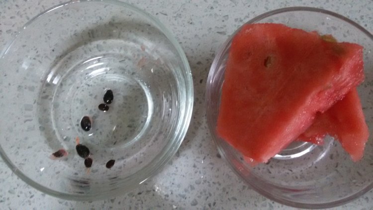 薄荷西瓜爽步骤3