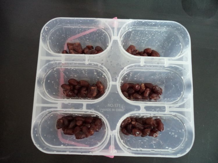 蜜豆奶棒步骤4