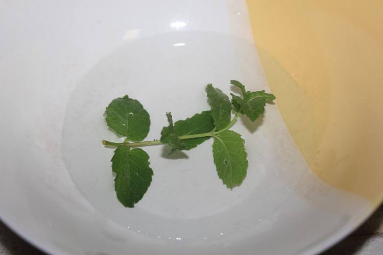 薄荷百利甜酒步骤1