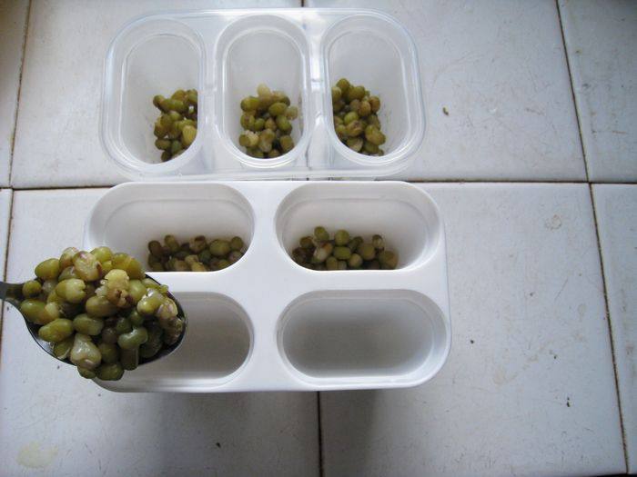 牛奶绿豆冰棍步骤7
