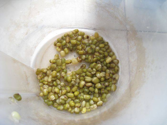 牛奶绿豆冰棍步骤8