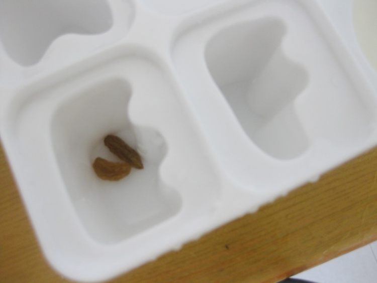 奶油葡萄干雪糕步骤8
