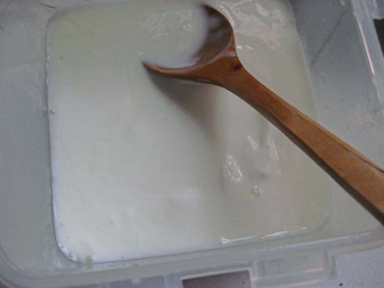 酸奶番茄沙冰步骤3