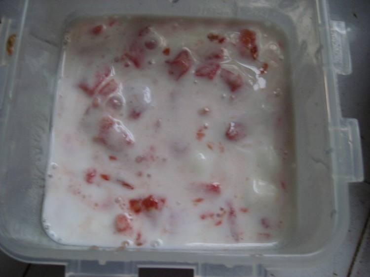 酸奶番茄沙冰步骤6