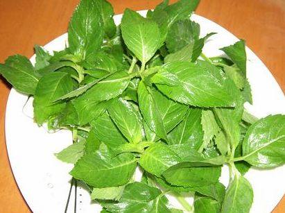 薄荷冰淇淋步骤7