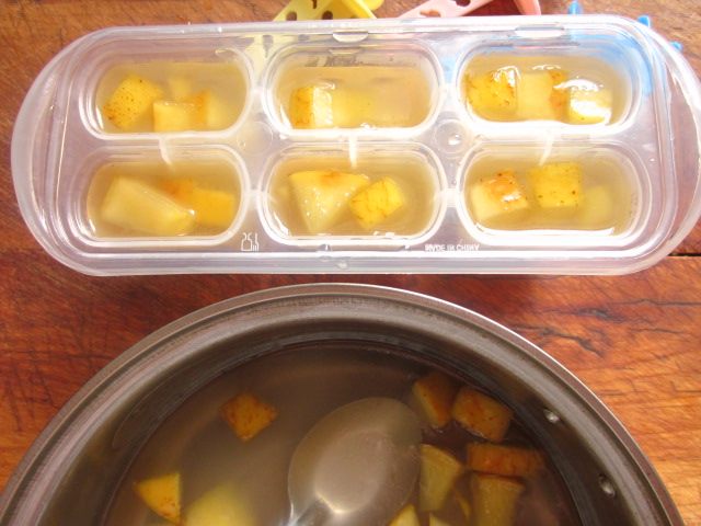 自制冰糖苹果冰棒步骤9