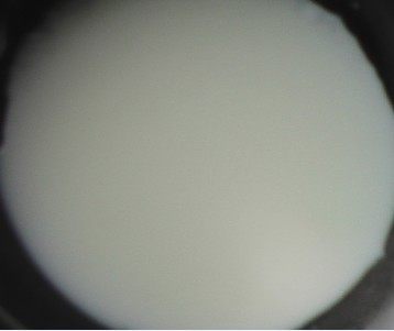 自制甜杏冰激凌步骤2