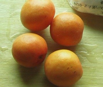 自制甜杏冰激凌步骤5