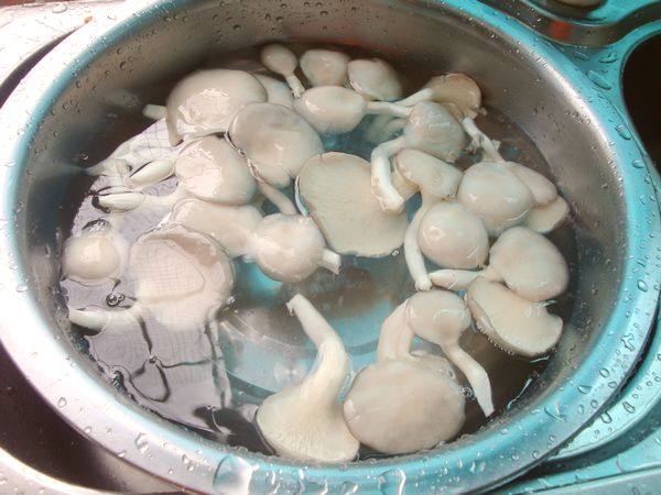 微波烤平菇步骤1