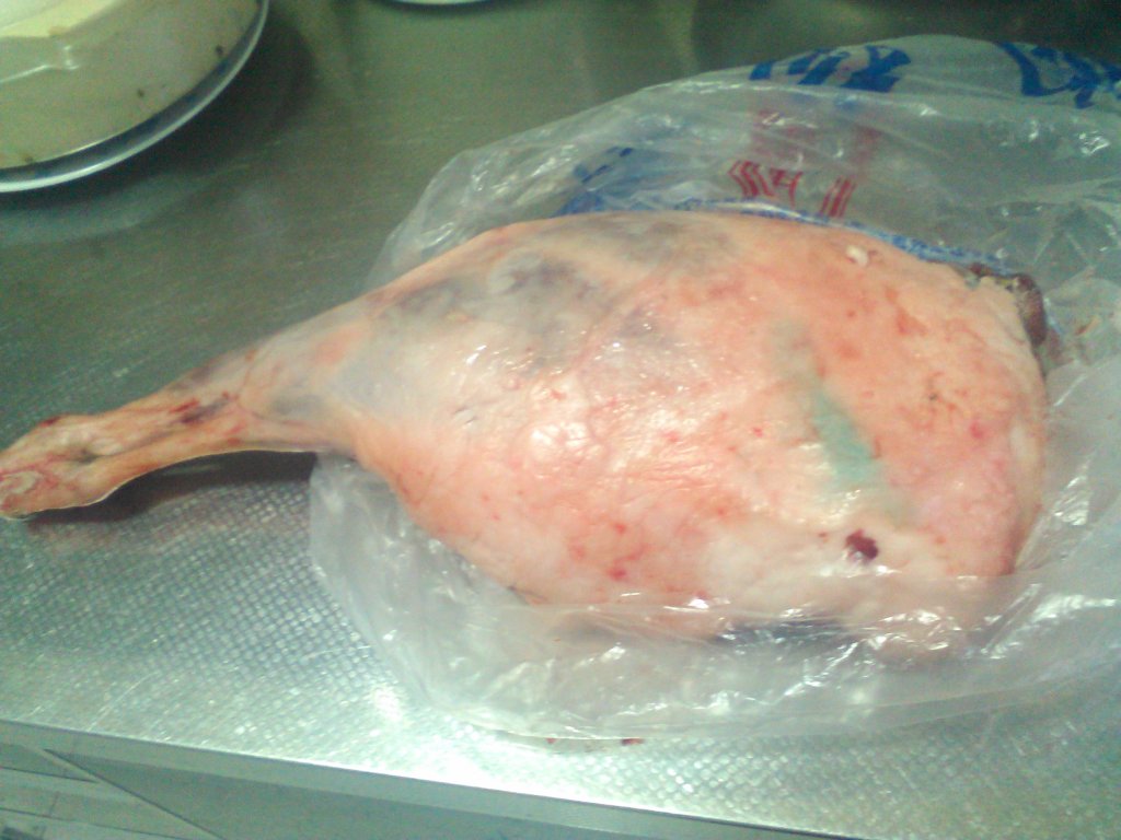 羊肉串（野炊木炭烤）步骤1