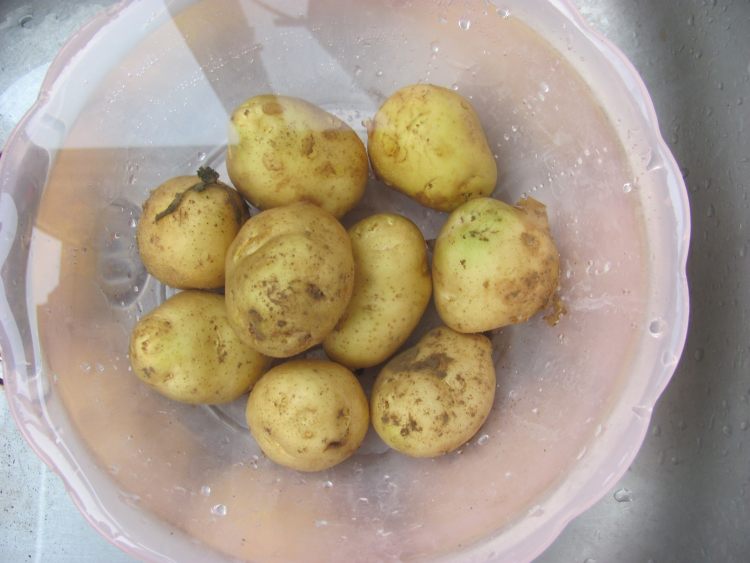 香烤土豆串步骤1