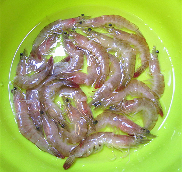 香烤串串虾步骤5