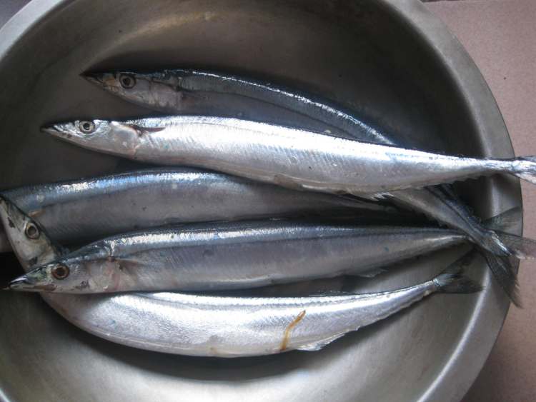 韩式烤秋刀鱼步骤1
