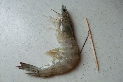 串烤虾步骤2