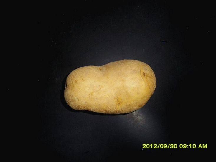 煎烤土豆片步骤1
