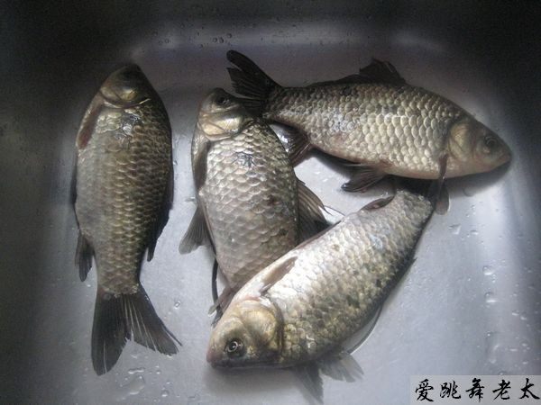 茄汁辣味烤鲫鱼步骤1