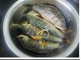茄汁辣味烤鲫鱼步骤2
