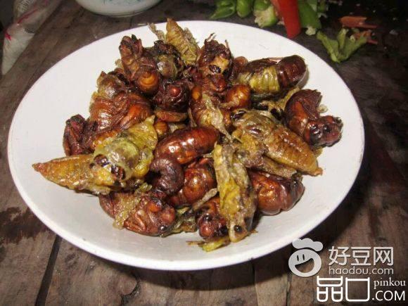 炸金蝉