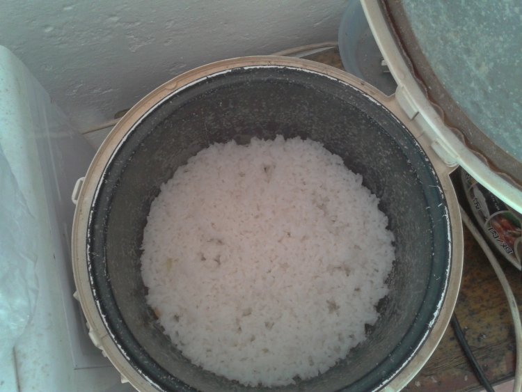 自制美味寿司步骤1
