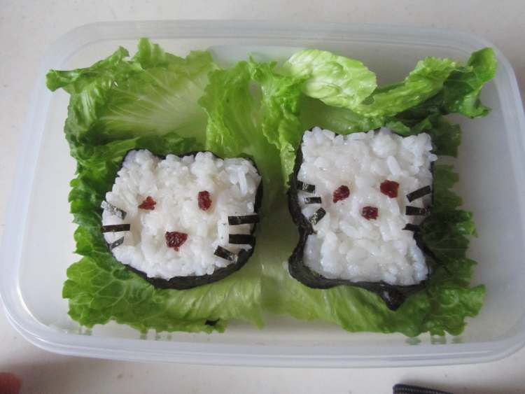 HOLLKITY盒饭步骤12