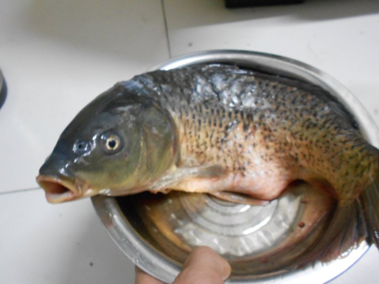 鲤鱼火锅步骤2