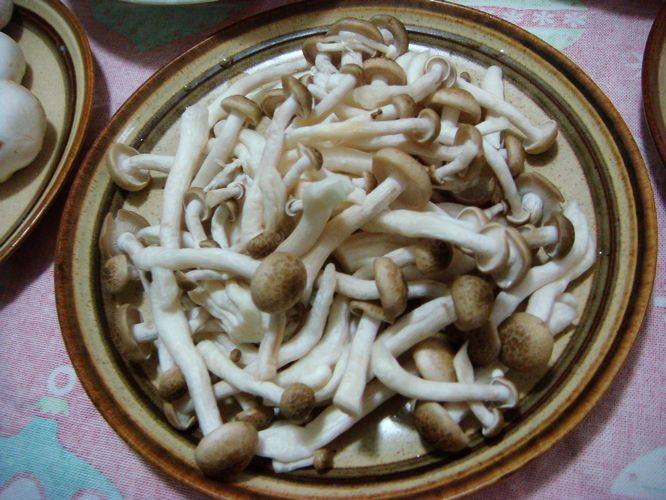 七鲜菇大战虾兵蟹将火步骤2