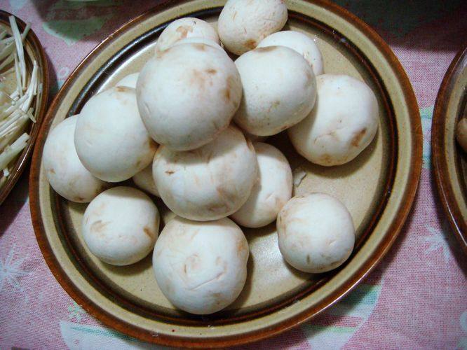 七鲜菇大战虾兵蟹将火步骤6