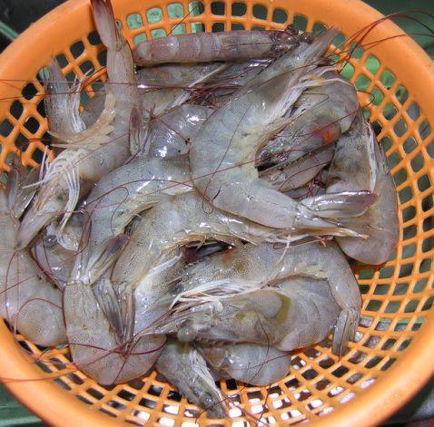 海鲜火锅步骤2