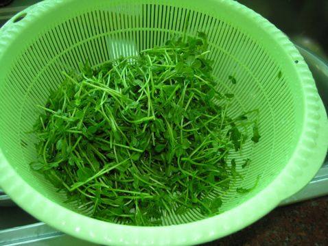 猴头菇鸡汤火锅步骤4