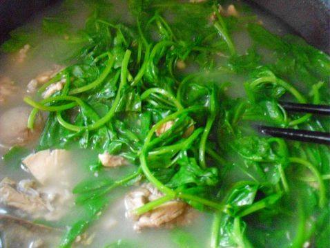 老母鸡菌火锅步骤8
