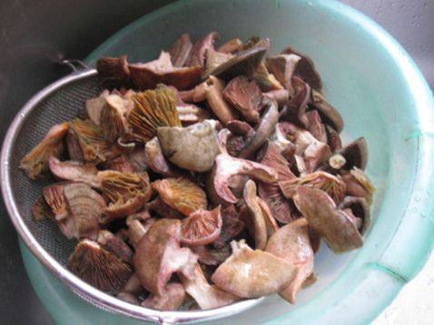 大雁菌腊肉火锅步骤4