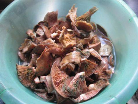 大雁菌腊肉火锅步骤3