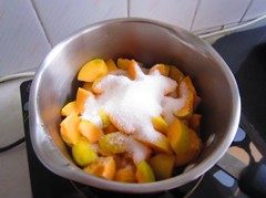 杏子酱步骤2