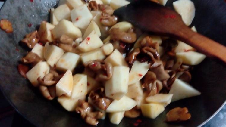 土豆烧肥肠步骤9