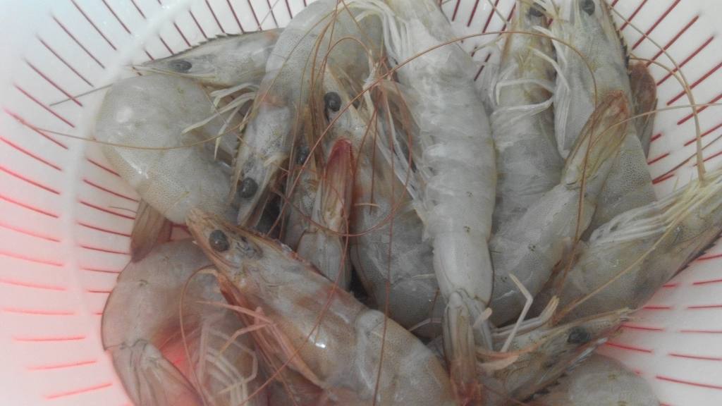 【儿童美食】沸腾虾球步骤1