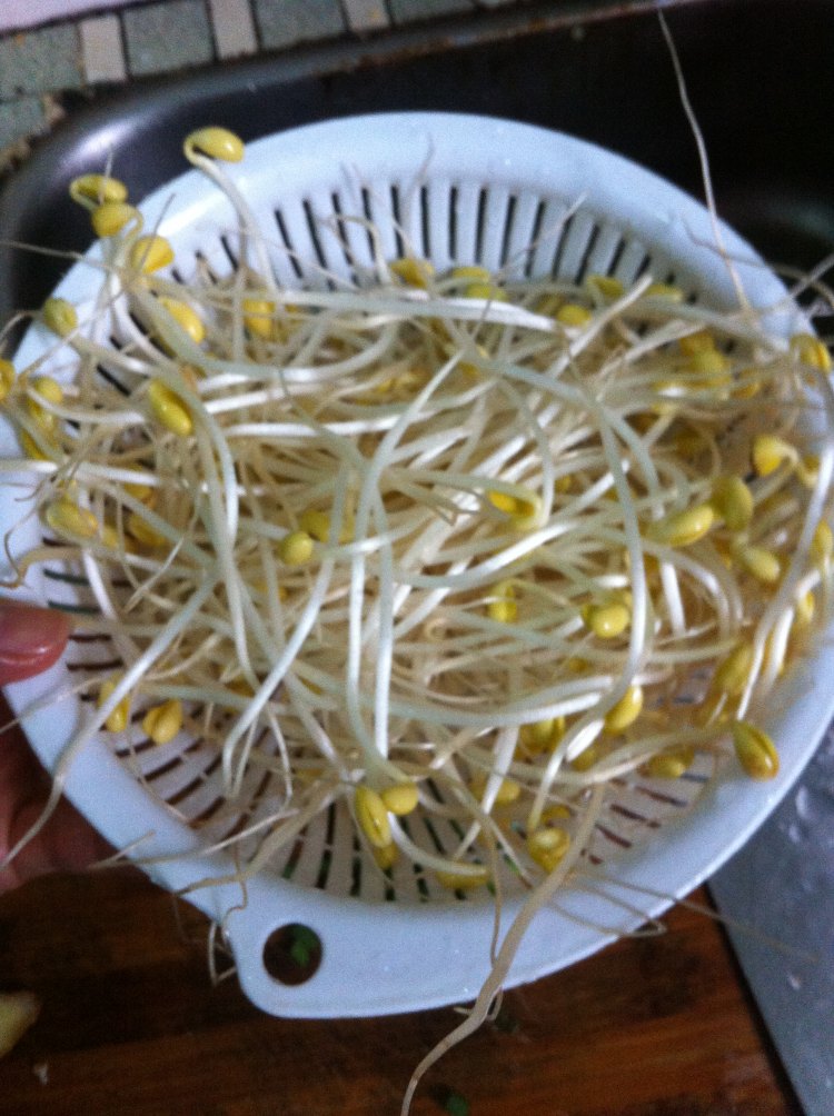 香辣水煮鱼步骤4