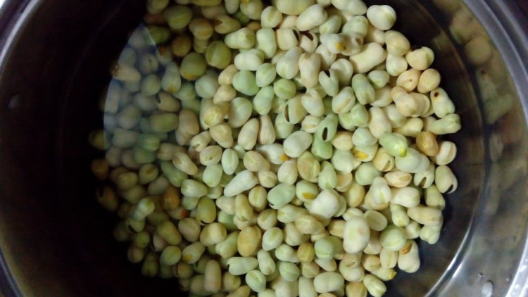 油皮菜炒胡豆步骤4