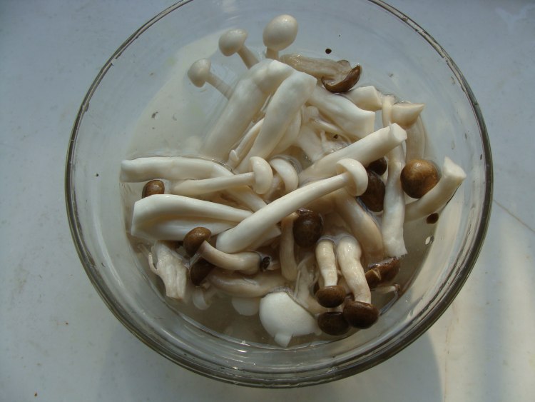 麻辣豆腐炖鱼步骤3
