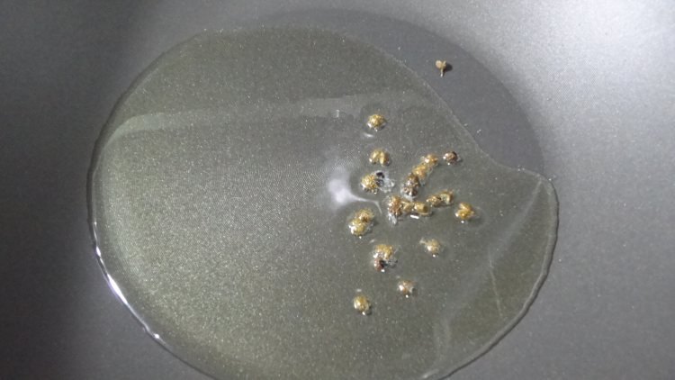 笋干烧排骨步骤6
