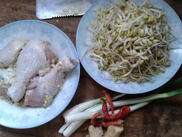 麻椒手撕鸡步骤4