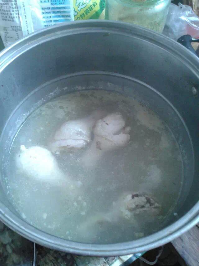 麻椒手撕鸡步骤7