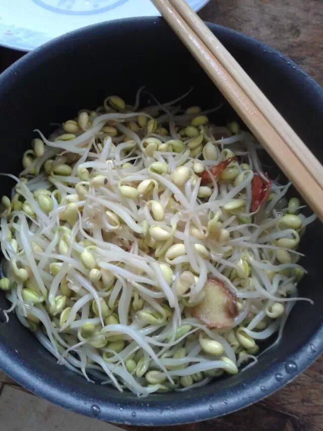 麻椒手撕鸡步骤14