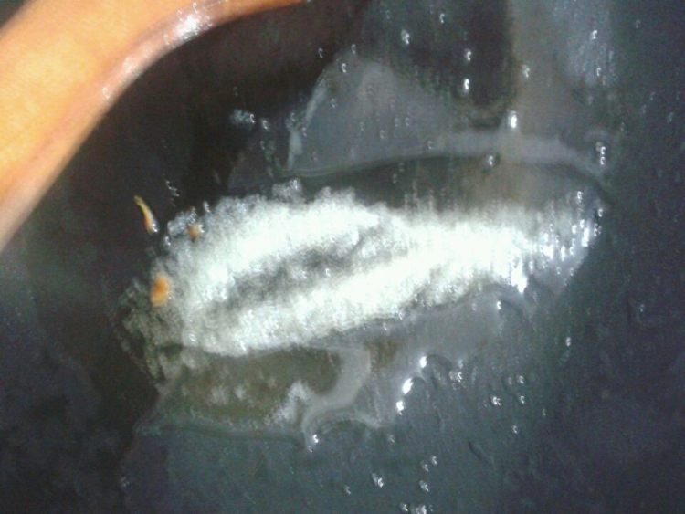 烧白（扣肉）步骤2