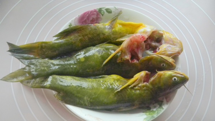 盐酸菜煮黄腊丁步骤1
