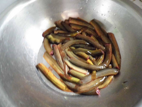巴蜀水煮泥鳅步骤1