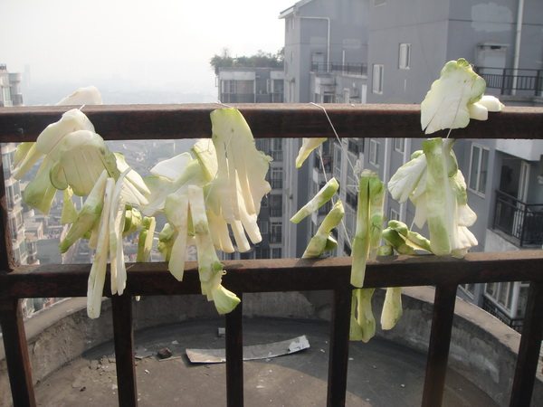 白萝卜泡菜步骤4