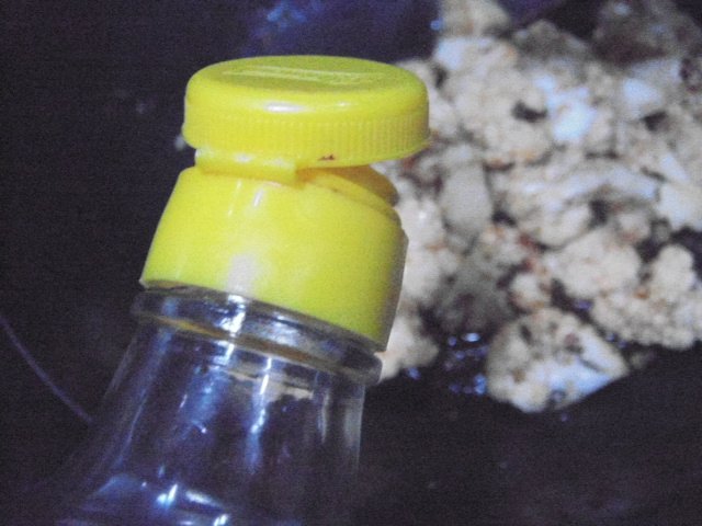 麻辣花菜步骤9