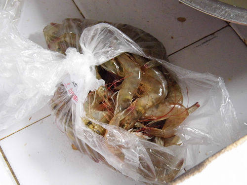 椒盐蒜蓉开背虾步骤1